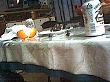030130_2237.jpg