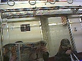ls_040123_1352_28.jpg