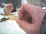ls_040123_1434_28.jpg