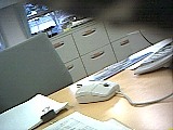 ls_040123_1440_28.jpg