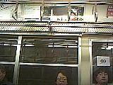 ls_040123_2039_32.jpg