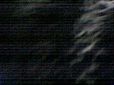 ls_040123_2249_32.jpg