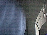 ls_040123_2317_32.jpg