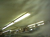 ls_040124_0748_10.jpg
