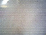 ls_040124_1900_16.jpg