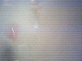 ls_040124_1936_16.jpg