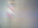 ls_040124_1945_16.jpg