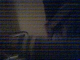 ls_040125_0509_16.jpg
