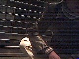 ls_040125_0632_16.jpg