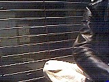 ls_040125_0638_16.jpg