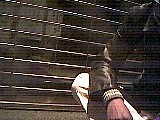 ls_040125_0642_16.jpg