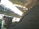 ls_040125_0759_04.jpg